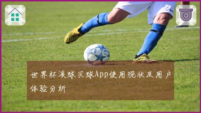 世界杯滚球买球App使用现状及用户体验分析
