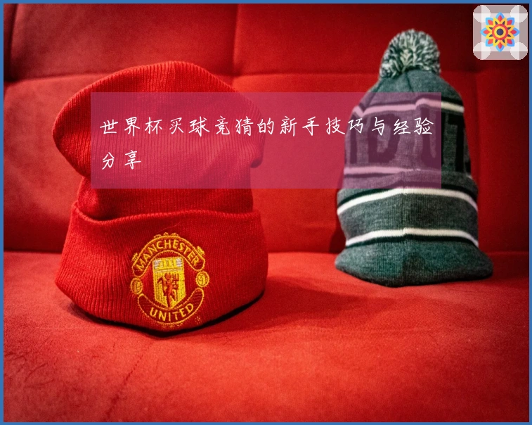 世界杯买球竞猜的新手技巧与经验分享