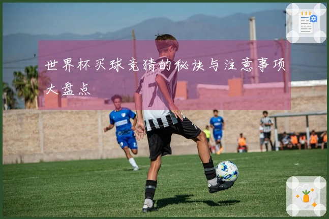 世界杯买球竞猜的秘诀与注意事项大盘点