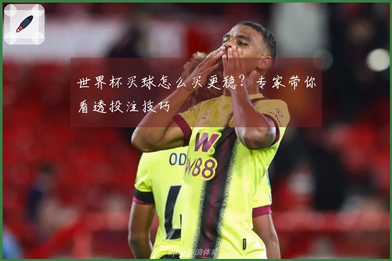 世界杯买球怎么买更稳？专家带你看透投注技巧