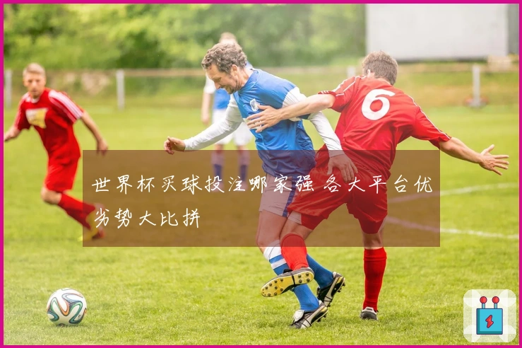 世界杯买球投注哪家强 各大平台优劣势大比拼
