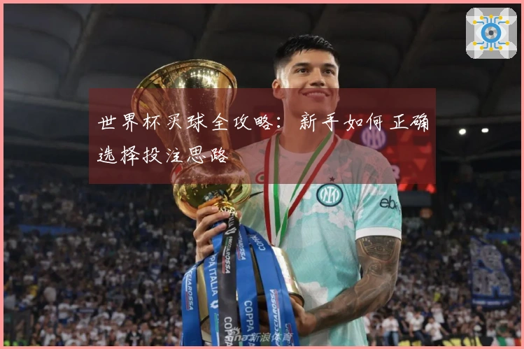 世界杯买球全攻略：新手如何正确选择投注思路