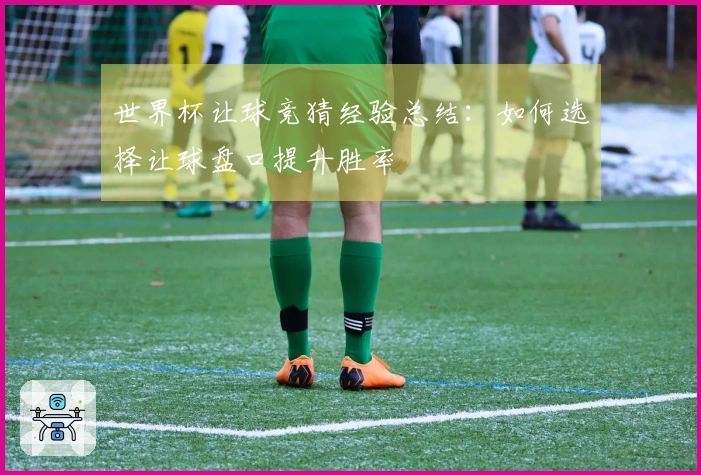 世界杯让球竞猜经验总结：如何选择让球盘口提升胜率