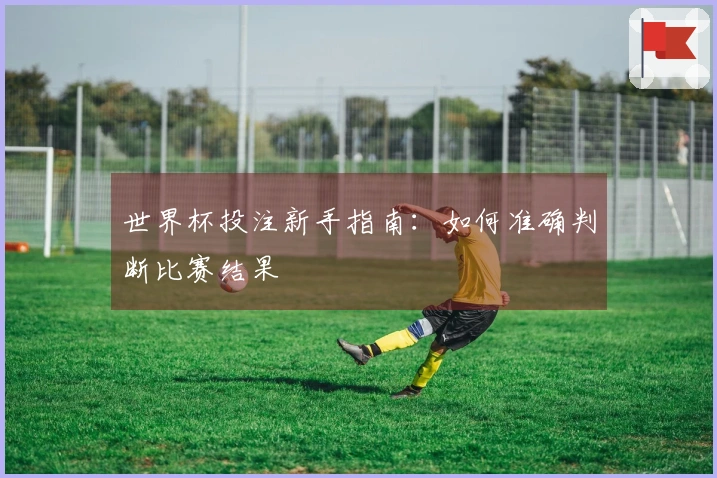 世界杯投注新手指南：如何准确判断比赛结果