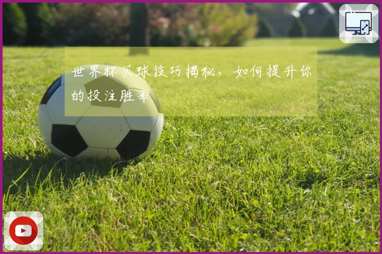 世界杯买球技巧揭秘，如何提升你的投注胜率