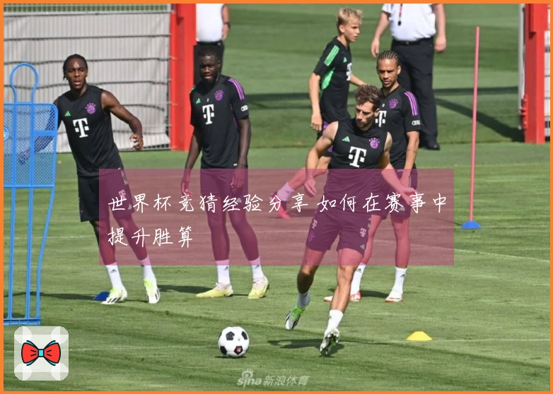 世界杯竞猜经验分享 如何在赛事中提升胜算