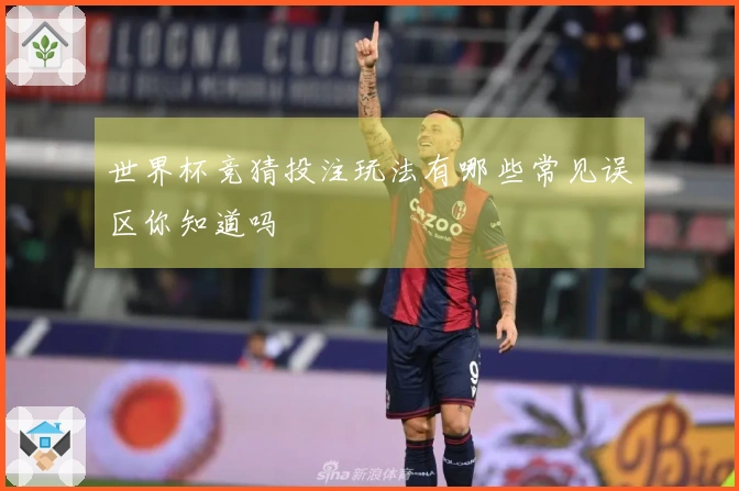 世界杯竞猜投注玩法有哪些常见误区你知道吗