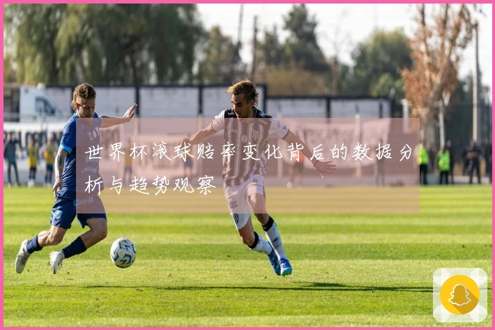 世界杯滚球赔率变化背后的数据分析与趋势观察