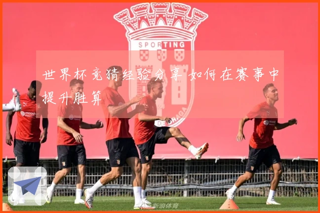 世界杯竞猜经验分享 如何在赛事中提升胜算
