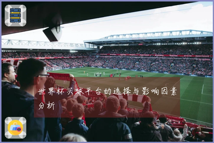 世界杯买球平台的选择与影响因素分析